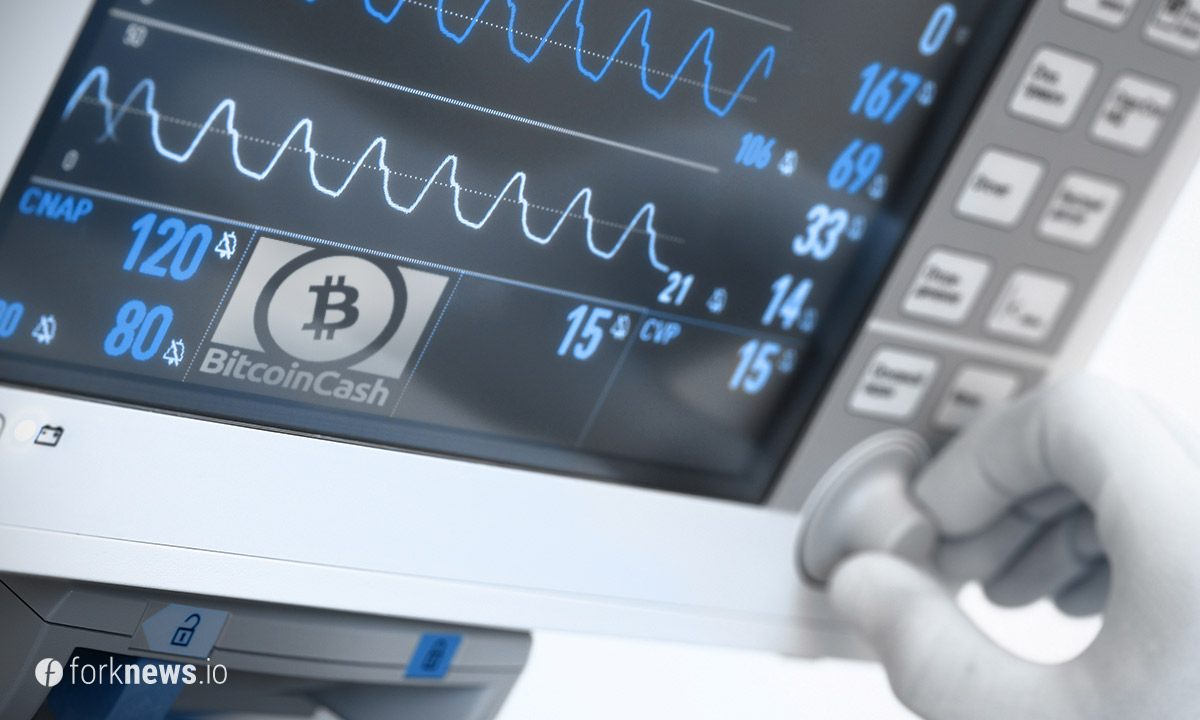 Проведен стресс-тест Bitcoin Cash