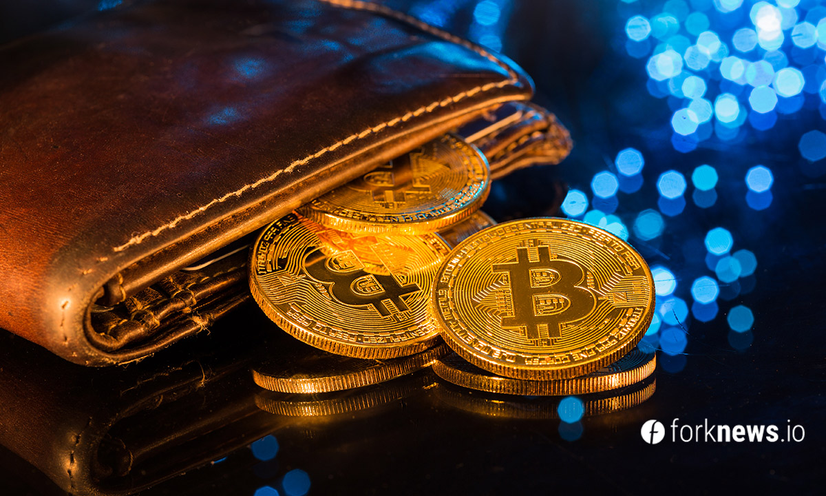 Сколько еще BTC смогут купить мелкие инвесторы?
