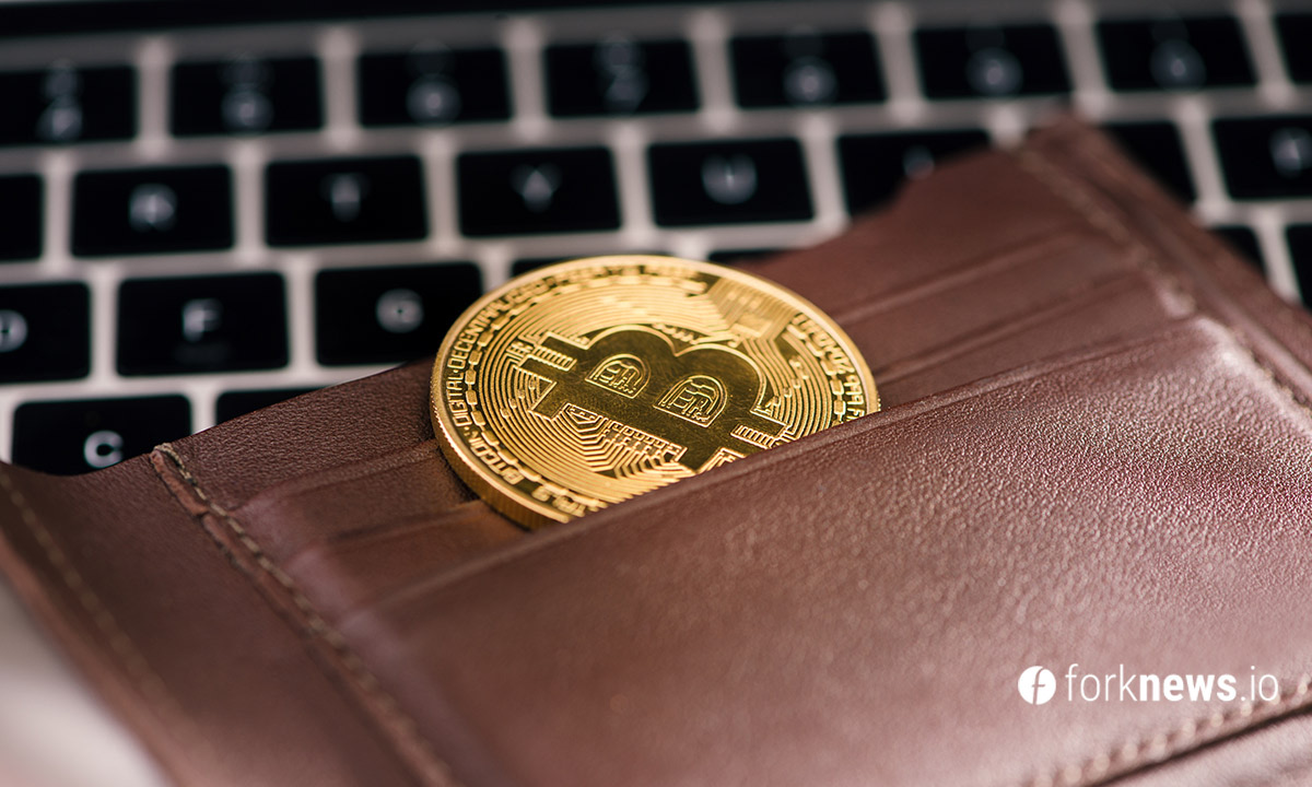 Количество BTC-кошельков с балансом более $10 млн достигло 4500